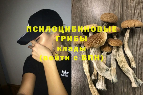 Альфа ПВП Армянск
