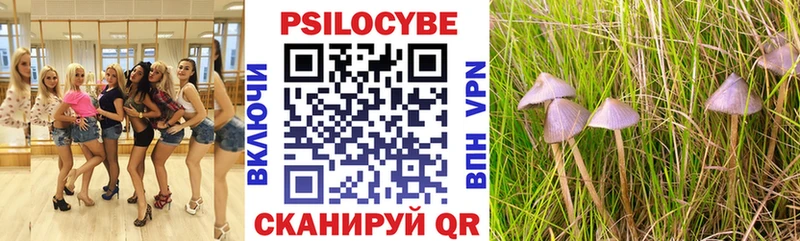 Псилоцибиновые грибы мицелий  даркнет сайт  Артёмовский 